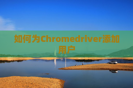 如何为Chromedriver添加用户 如何为Chromedriver添加用户